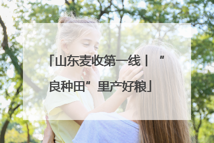 山东麦收第一线丨“良种田”里产好粮