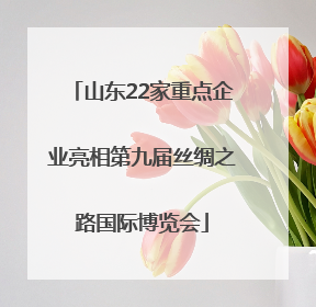 山东22家重点企业亮相第九届丝绸之路国际博览会