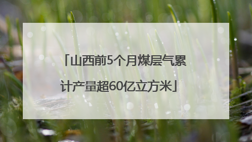 山西前5个月煤层气累计产量超60亿立方米