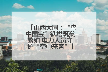 山西大同：“鸟中国宝”铁塔筑巢繁殖 电力人员守护“空中来客”