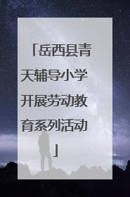 岳西县青天辅导小学开展劳动教育系列活动