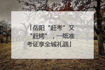 岳阳“赶考”又“赶烤”，一纸准考证享全城礼遇