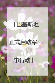 巴基斯坦正式启动军事行动