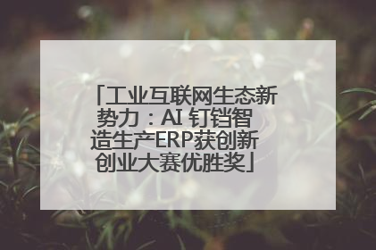 工业互联网生态新势力：AI 钉铛智造生产ERP获创新创业大赛优胜奖