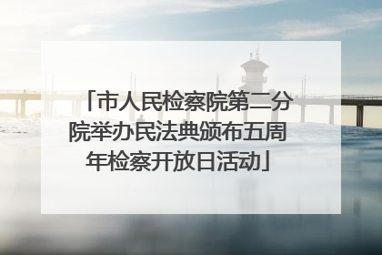 市人民检察院第二分院举办民法典颁布五周年检察开放日活动