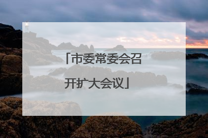 市委常委会召开扩大会议