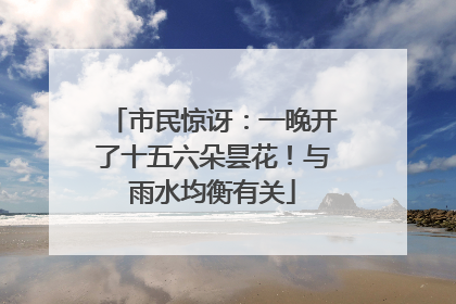 市民惊讶：一晚开了十五六朵昙花！与雨水均衡有关