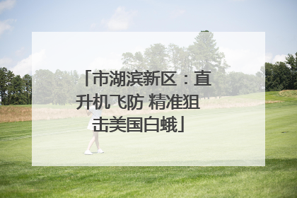 市湖滨新区：直升机飞防 精准狙击美国白蛾