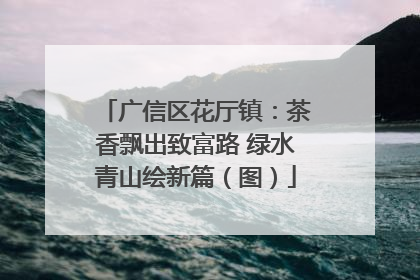 广信区花厅镇：茶香飘出致富路 绿水青山绘新篇（图）