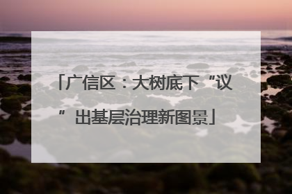 广信区：大树底下“议”出基层治理新图景