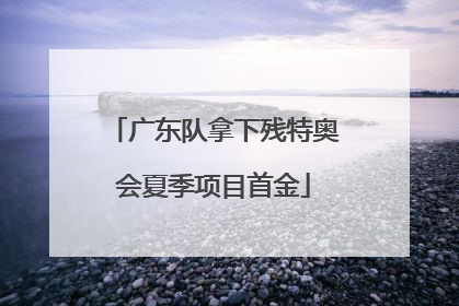 广东队拿下残特奥会夏季项目首金