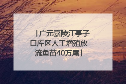 广元嘉陵江亭子口库区人工增殖放流鱼苗40万尾