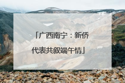 广西南宁：新侨代表共叙端午情