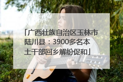 广西壮族自治区玉林市陆川县：3900多名本土干部回乡解纷促和