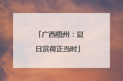广西梧州：夏日赏荷正当时
