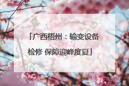 广西梧州：输变设备检修 保障迎峰度夏