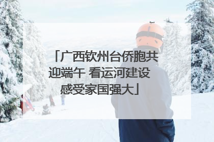 广西钦州台侨胞共迎端午 看运河建设感受家国强大