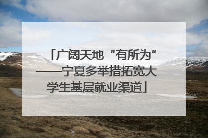 广阔天地“有所为”——宁夏多举措拓宽大学生基层就业渠道