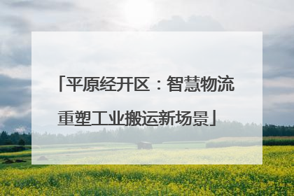 平原经开区：智慧物流重塑工业搬运新场景