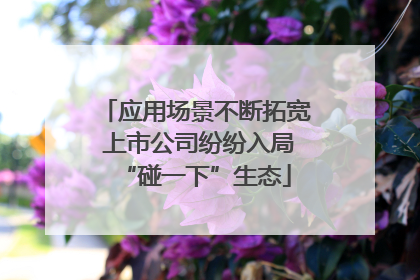 应用场景不断拓宽 上市公司纷纷入局“碰一下”生态