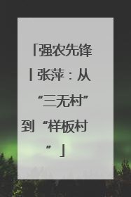 强农先锋丨张萍：从“三无村”到“样板村”