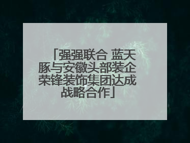 强强联合 蓝天豚与安徽头部装企荣锋装饰集团达成战略合作