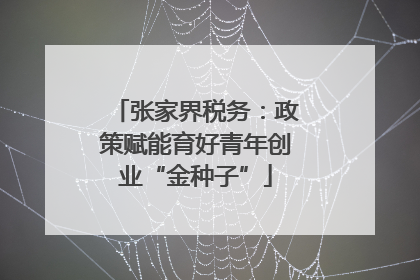 张家界税务：政策赋能育好青年创业“金种子”
