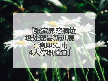 张家界溶洞垃圾处理最新进展：清理51吨，4人停职检查
