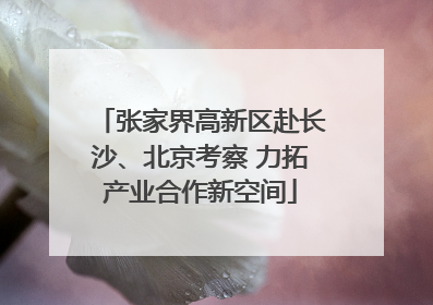 张家界高新区赴长沙、北京考察 力拓产业合作新空间