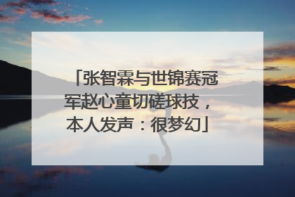 张智霖与世锦赛冠军赵心童切磋球技，本人发声：很梦幻
