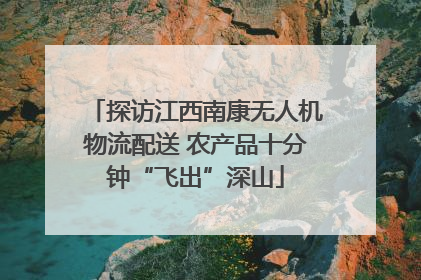 探访江西南康无人机物流配送 农产品十分钟“飞出”深山