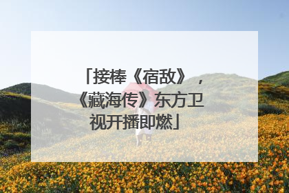 接棒《宿敌》，《藏海传》东方卫视开播即燃