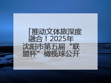 推动文体旅深度融合！2025年沈阳市第五届“联盟杯”橄榄球公开赛燃情开赛