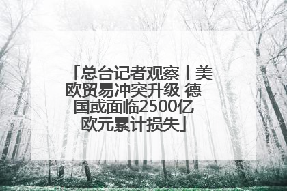 总台记者观察丨美欧贸易冲突升级 德国或面临2500亿欧元累计损失