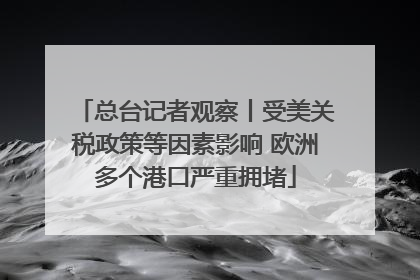 总台记者观察丨受美关税政策等因素影响 欧洲多个港口严重拥堵