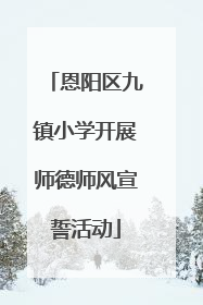 恩阳区九镇小学开展师德师风宣誓活动