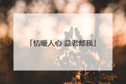 情暖人心 益老邮我