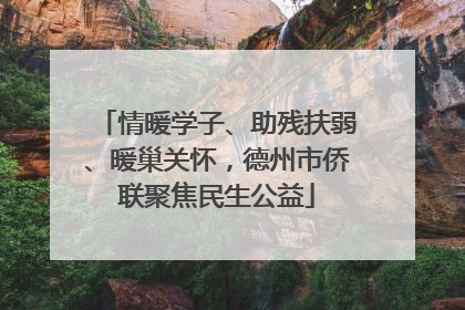 情暖学子、助残扶弱、暖巢关怀，德州市侨联聚焦民生公益