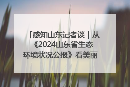 感知山东记者谈｜从《2024山东省生态环境状况公报》看美丽山东建设的“成绩单”与“任务书”