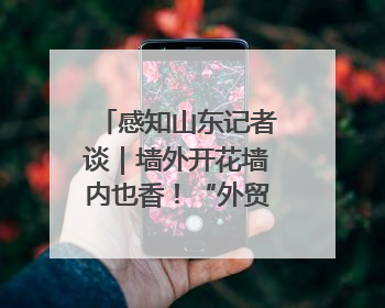感知山东记者谈｜墙外开花墙内也香！“外贸优品”打通国内国际市场“旋转门”