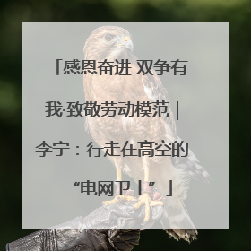 感恩奋进 双争有我·致敬劳动模范｜李宁：行走在高空的“电网卫士”