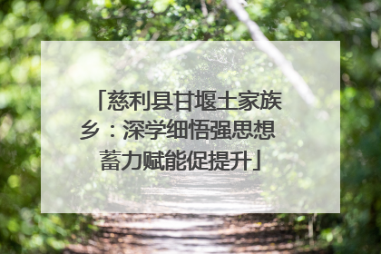 慈利县甘堰土家族乡：深学细悟强思想 蓄力赋能促提升