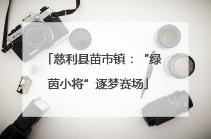 慈利县苗市镇：“绿茵小将”逐梦赛场
