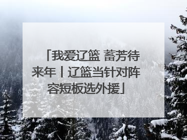 我爱辽篮 蓄芳待来年丨辽篮当针对阵容短板选外援