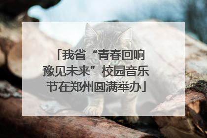 我省“青春回响 豫见未来”校园音乐节在郑州圆满举办