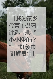 我为家乡代言！崇阳评选一批“小小推介官”“红领巾讲解员”