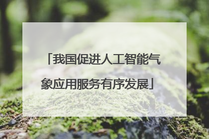 我国促进人工智能气象应用服务有序发展