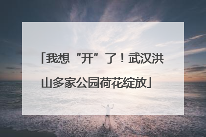 我想“开”了！武汉洪山多家公园荷花绽放