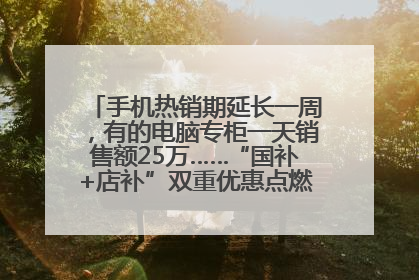 手机热销期延长一周，有的电脑专柜一天销售额25万……“国补+店补”双重优惠点燃德州“考后经济”