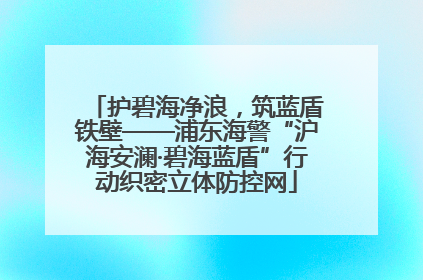 护碧海净浪，筑蓝盾铁壁——浦东海警“沪海安澜·碧海蓝盾”行动织密立体防控网